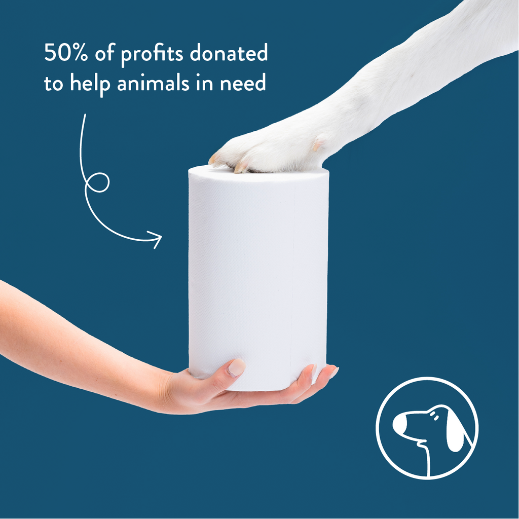 About A Dog 100% Recycled Paper Towel, Double Length Paper Towel Rolls
