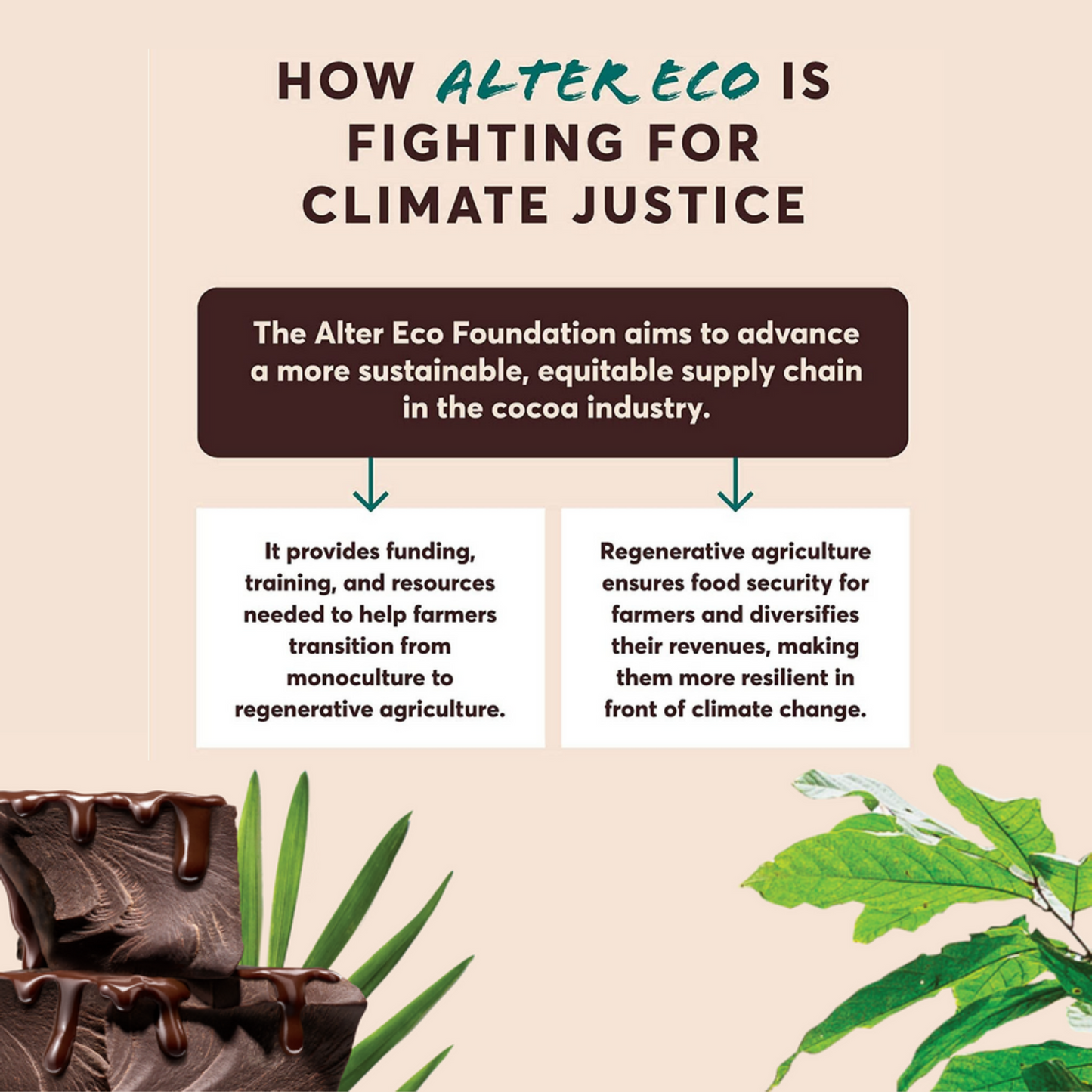 Alter Eco Chocolate 75g, Total Blackout Flavour 100% Cacao, Certified Organic