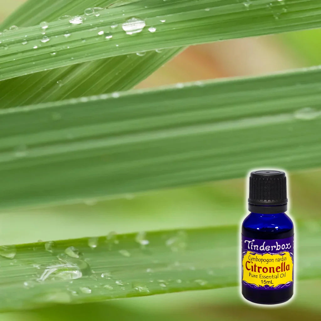 Tinderbox Citronella Essential Oil 15mL, A Sri Lankan Citronella