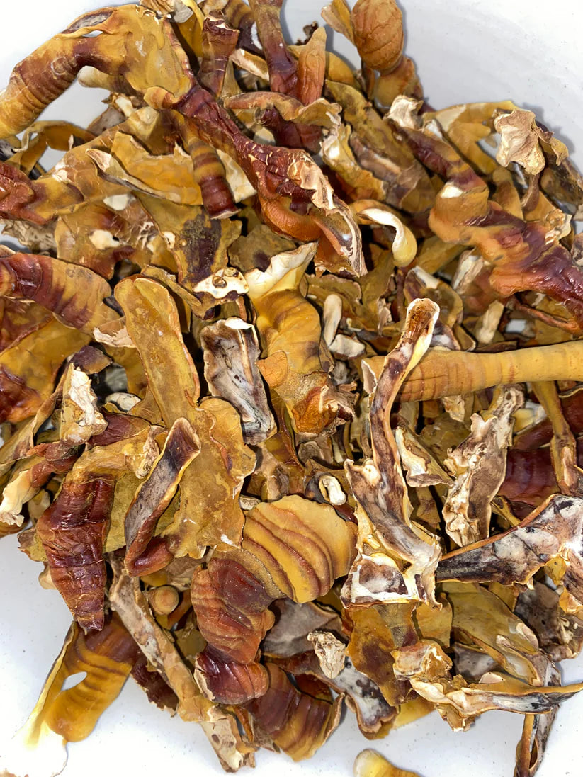 Mycro Hero Organic Reishi Mushroom Extract 30mL, For Immunity Sleep & Calm