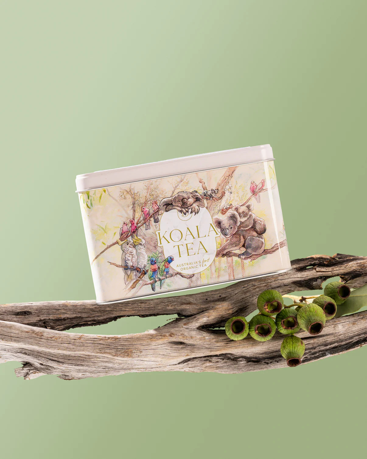 Koala Tea Certified Organic Byron Bay Gift Pack 25 Bags, A Taste Of Australia