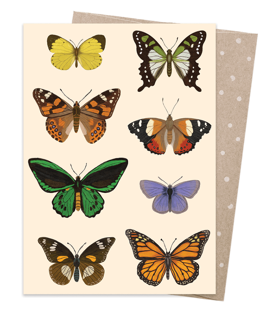 Earth Greetings Native Flutter Card, Negin Maddock Collection (Includes One Card & One Kraft Envelope)