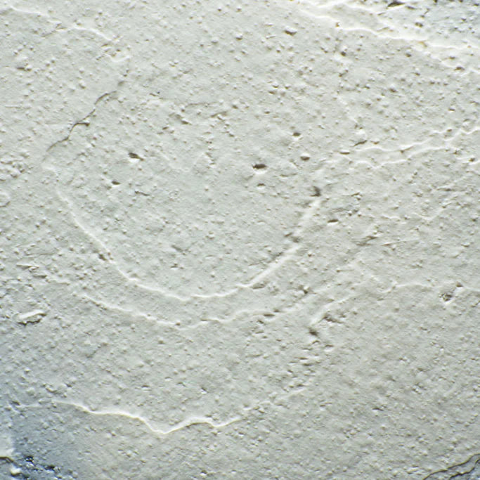 Naked Tallow Exfoliating Powder Cleanser 25g, A Luxurious Blend Of Natural Ingredients