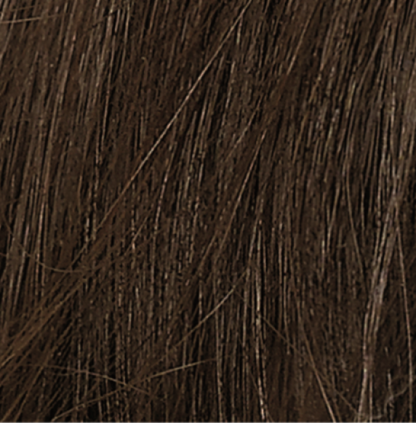 Naturtint Permanent Hair Colour Gel; No Ammonia 170mL, 4G Golden Chestnut
