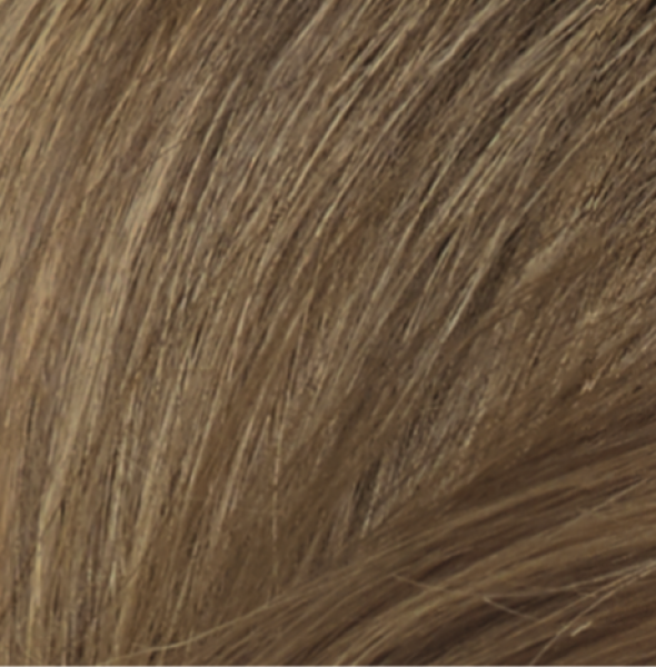 Naturtint Permanent Hair Colour Gel; No Ammonia 170mL, 7N Hazelnut Blonde