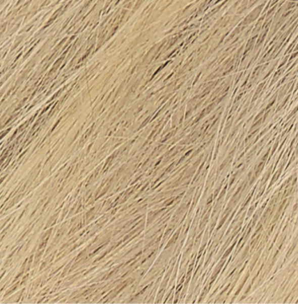 Naturtint Permanent Hair Colour Gel; No Ammonia 170mL, 9N Honey Blonde