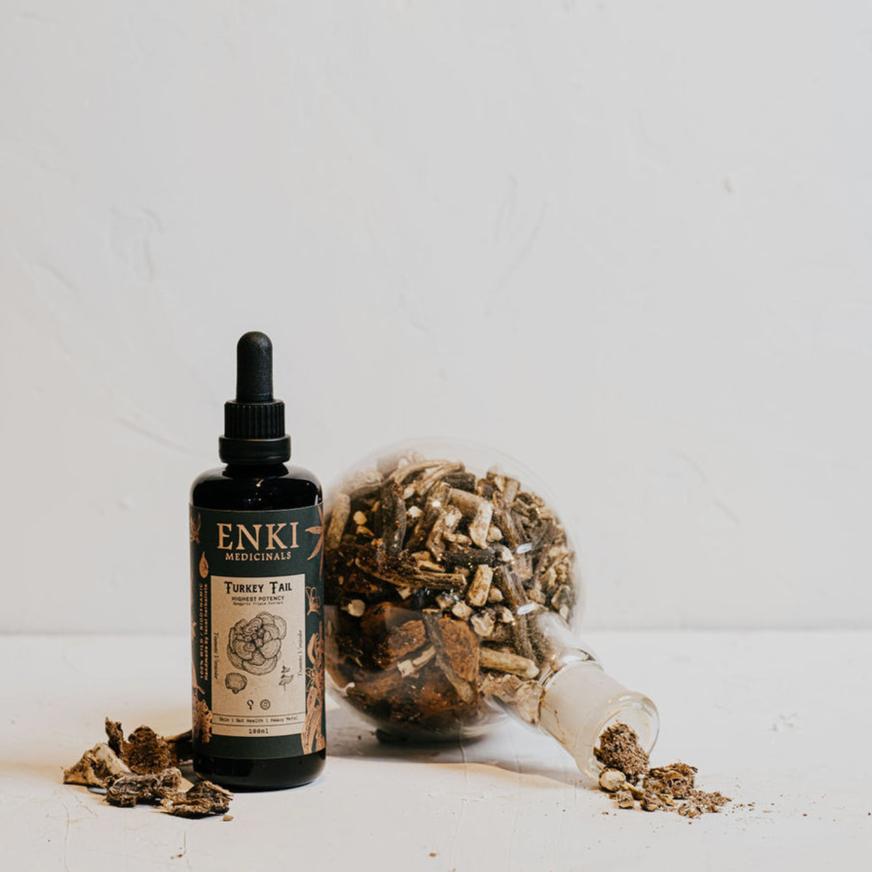 Enki Apothecary Turkey Tail Mushroom Tonic 50mL, Supports Gut Health