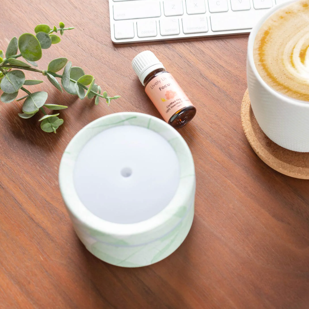 Lively Living Travel Diffuser Aroma Mod, Green Leaf