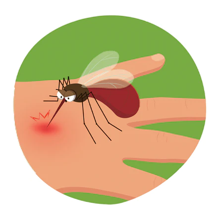 The Natural Patch Co. Itch Relief Stickers 27 Patches, Instantly Makes That Itch Disappear!