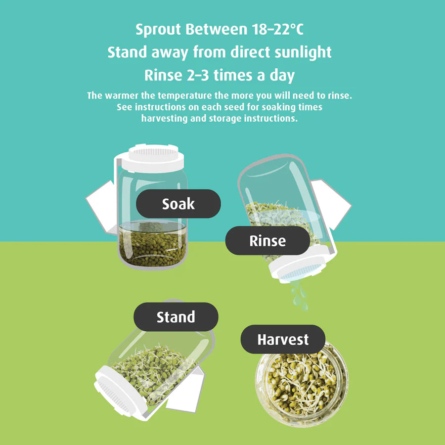 Untamed Health Super Sprouter Germinator, Make Your Own Sprouts