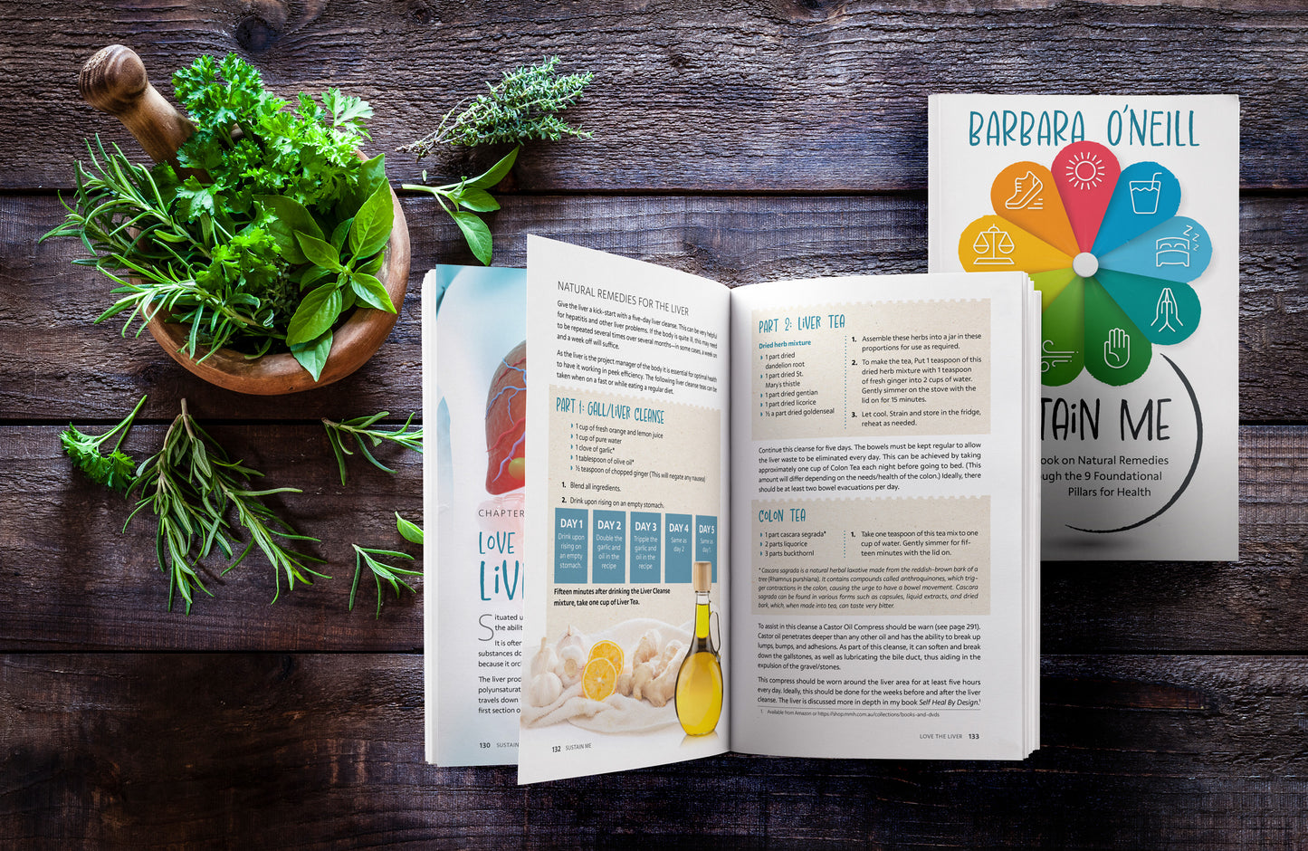 Barbara O'neill Sustain Me Book, The Nine Foundational Pillars For Health