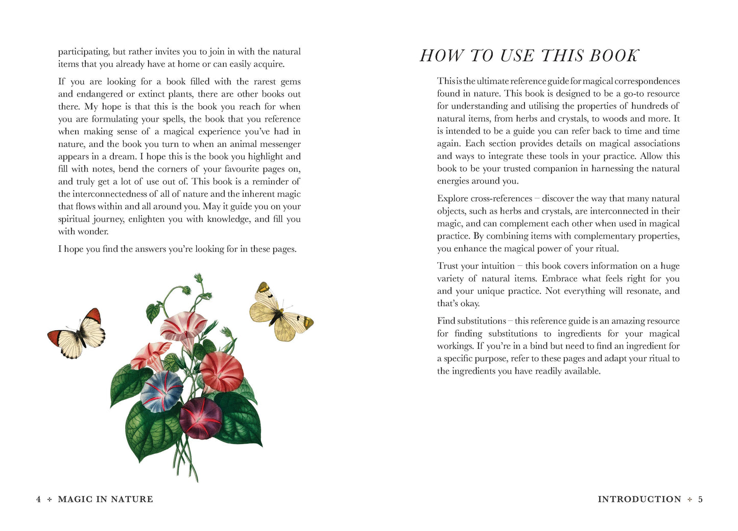 A Practical Guide to Magic in Nature, By Jessica Lahoud