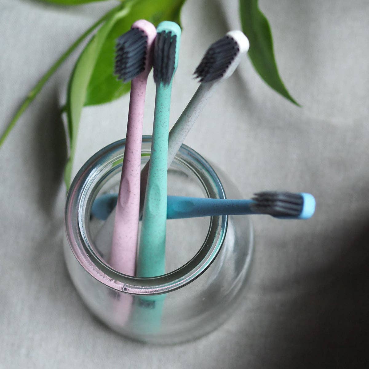 Brush It On A Wheat Straw Toothbrush Soft Bristles, Please Select Your Favourite Colour