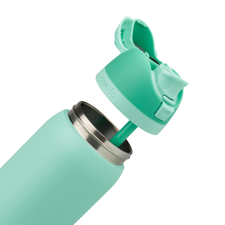 Owala FreeSip Stainless Steel Water Bottle 32oz, Freeze The Day