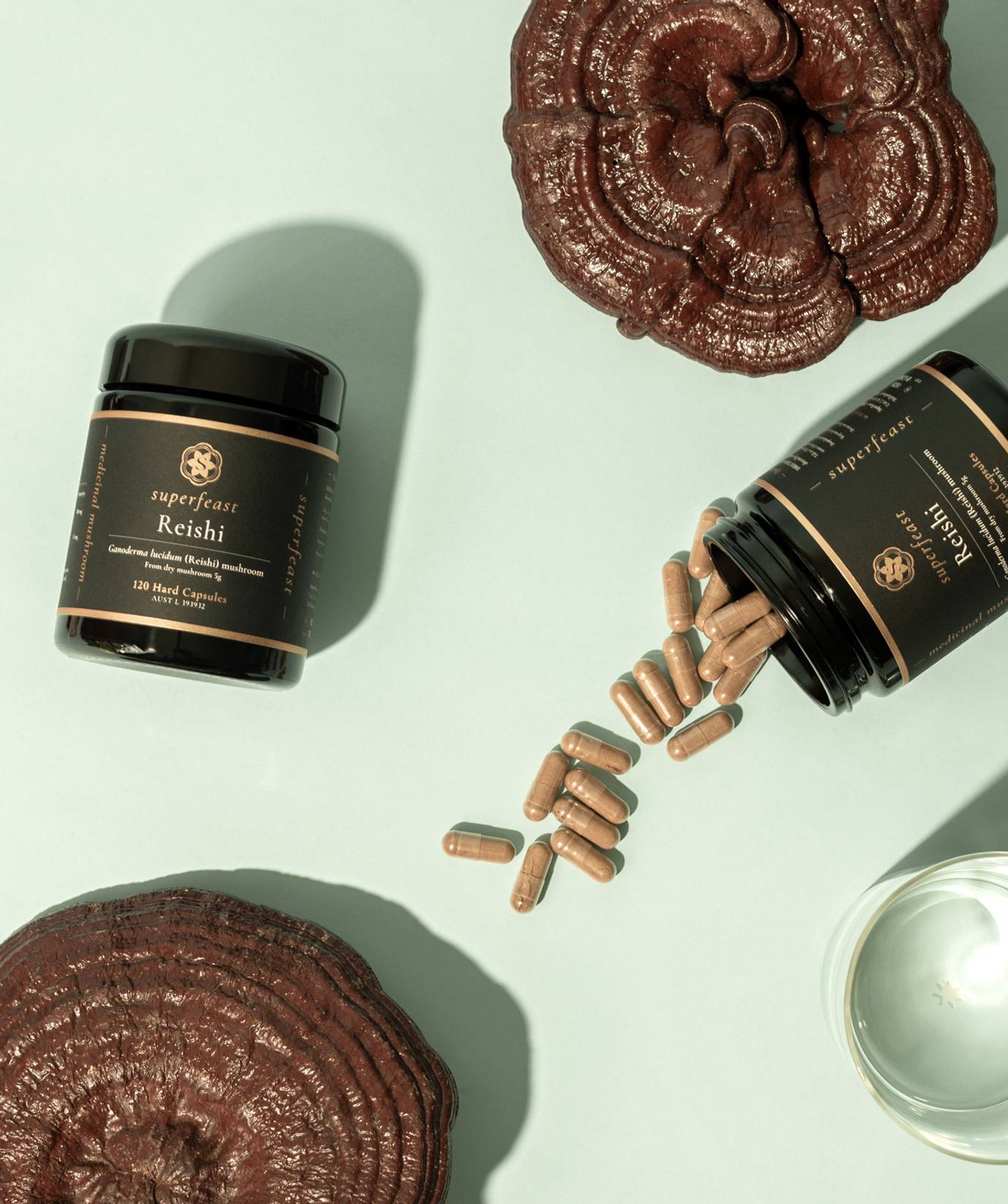 SuperFeast Medicinal Mushrooms 120 Capsules, Reishi (Calm Mind, Steady Spirit)