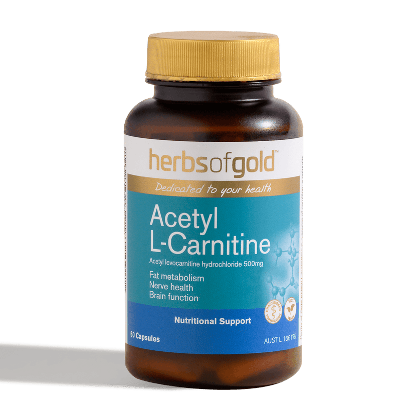 Herbs Of Gold Acetyl L-Carnitine, 60 Or 120 VegeCapsules (Vegan) Health Nuts Australia Herbs Of Gold Acetyl L-Carnitine, 60 Or 120 VegeCapsules (Vegan) Health Nuts Australia