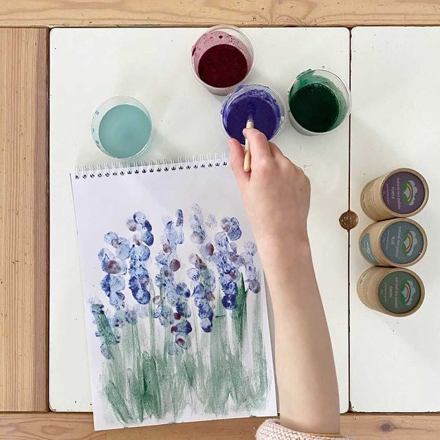 Eco Art & Craft, Natural Eco Paints {Award Winning, Non Toxic, Eco Friendly Paint Kit}