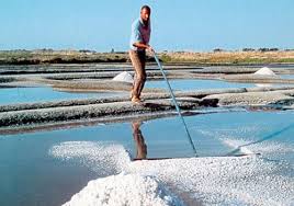 Mindful Foods Course Celtic Sea Salt 250g Or 420g, Unrefined With Over 80 Trace Minerals