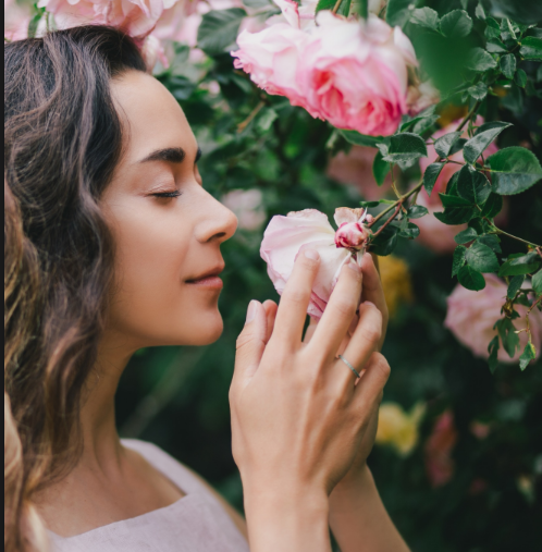 Springfields Rose Botanical Lotion 50mL, Reduces The Appearance Of Fine Lines