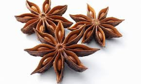 Mindful Foods Star Anise 55g, The Perfect Pantry Spice