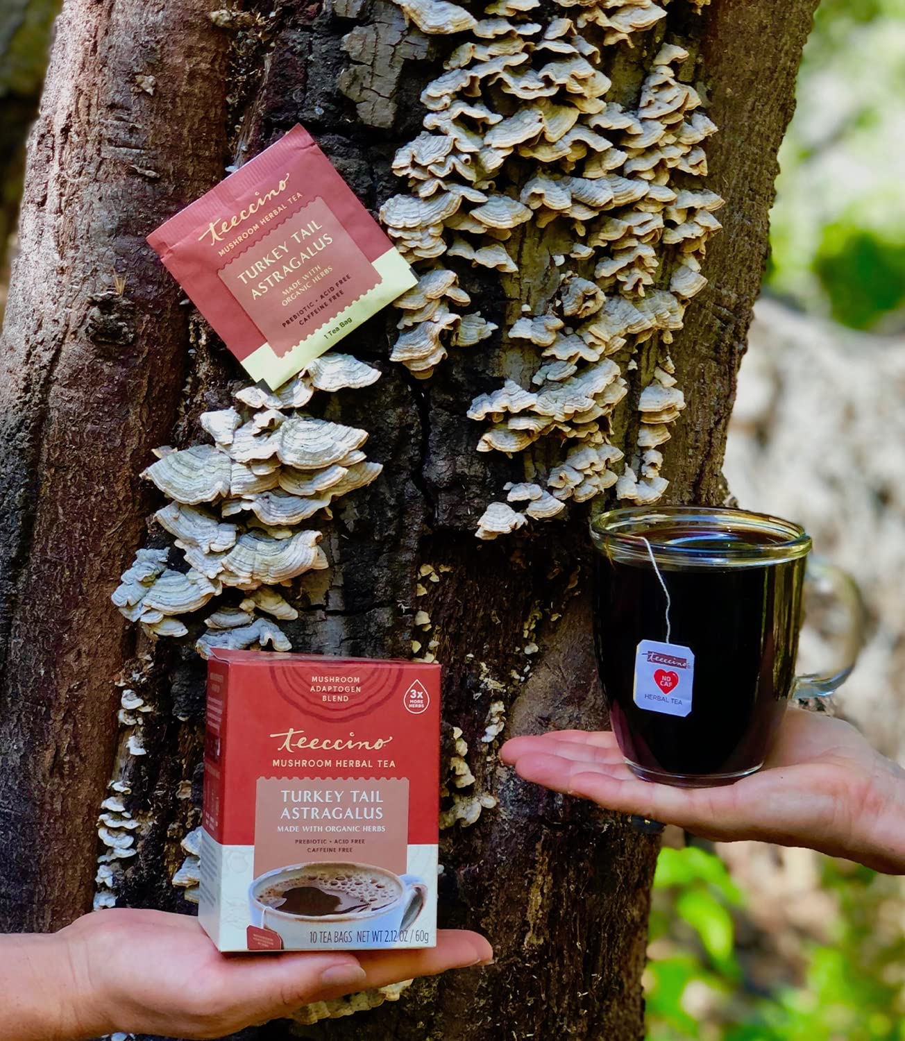 Teeccino Mushroom Herbal Tea 10 Tea Bags, Turkey Tail & Astragalus Caffeine-Free