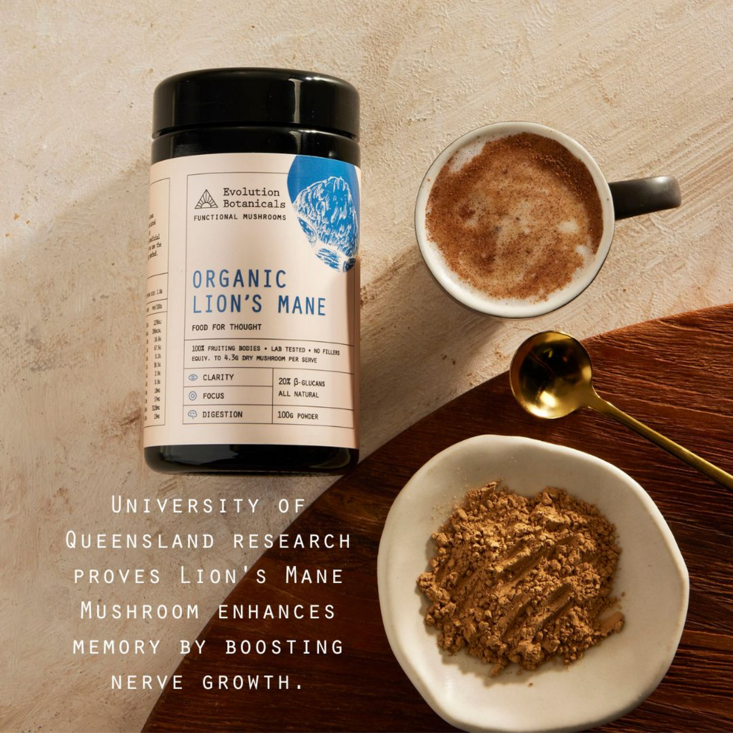 Evolution Botanicals Organic Lion's Mane Extract 100g, Cognitive Performance