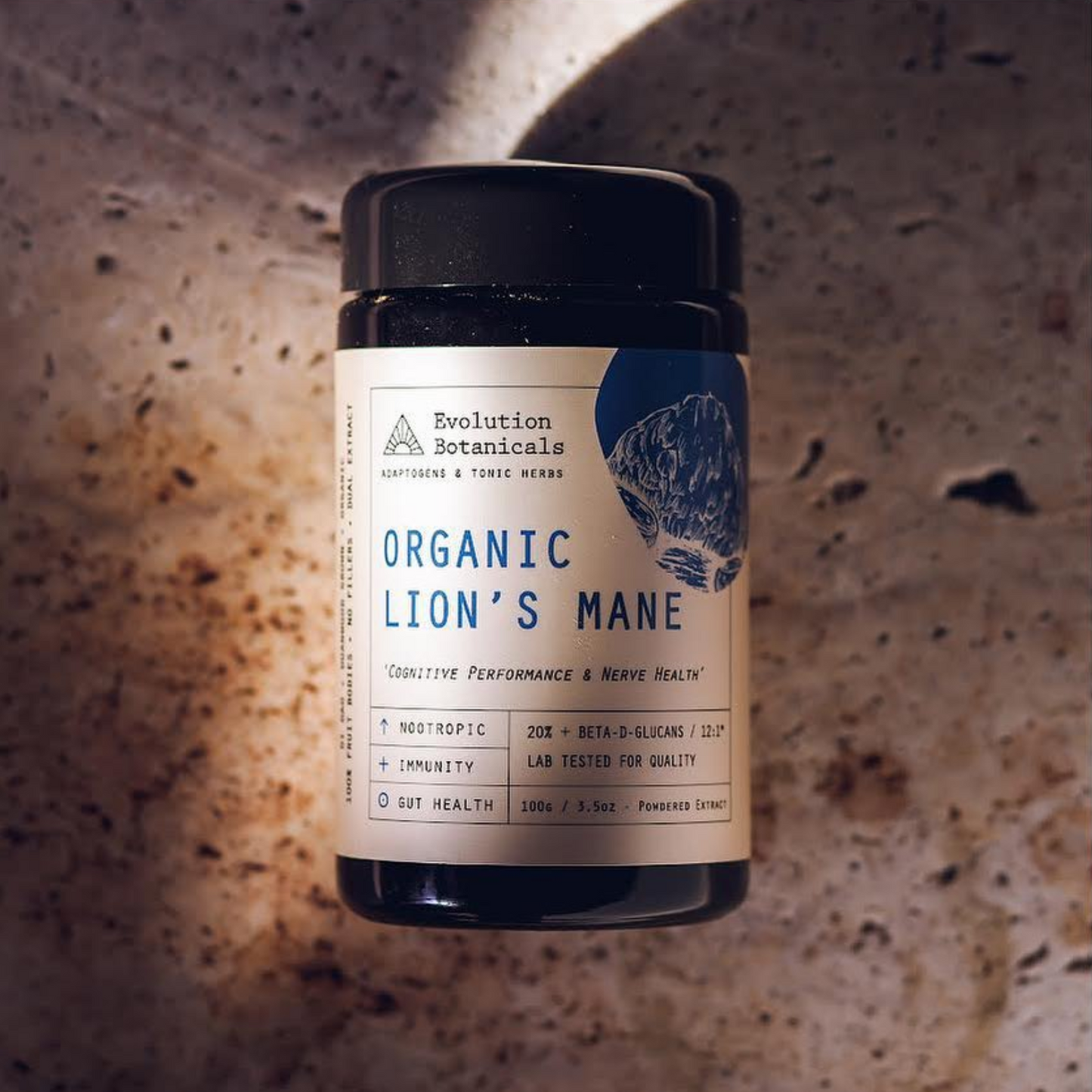 Evolution Botanicals Organic Lion's Mane Extract 100g, Cognitive Performance