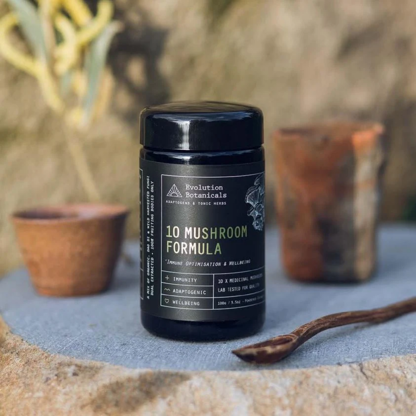 Evolution Botanicals Organic 10 Mushroom Formula 100g, Optimise Wellbeing