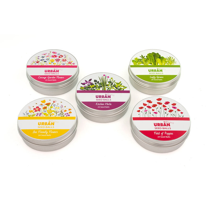 Urban Greens Seed Balls (For Planting) Tomato Garden (24 Per Tin)