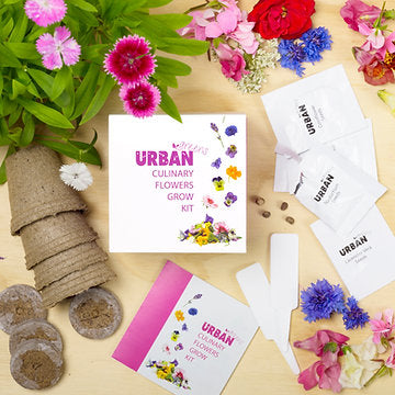 Urban Greens Grow Kit 10x10cm, Culinary Flowers