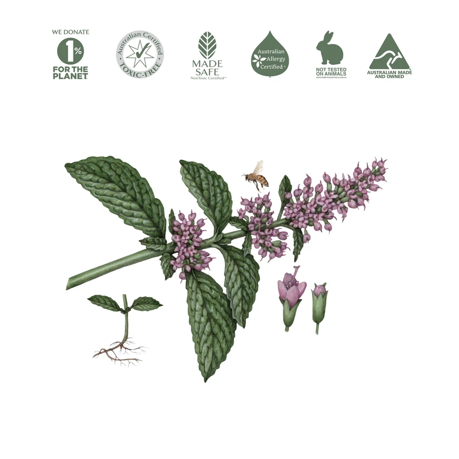 Koala Eco Natural Stainless Steel Cleaner 500ml, Peppermint Essential Oil