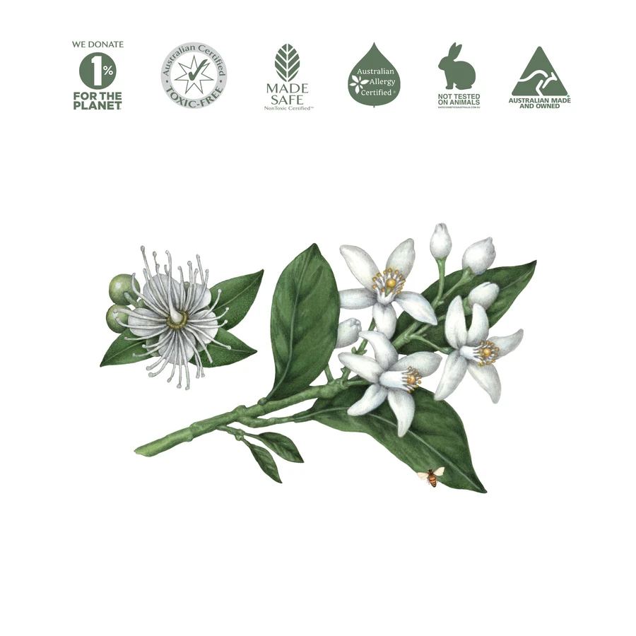 Koala Eco Natural Multi-Purpose Cleaner 500ml Or 1L, Lemon Myrtle & Mandarin