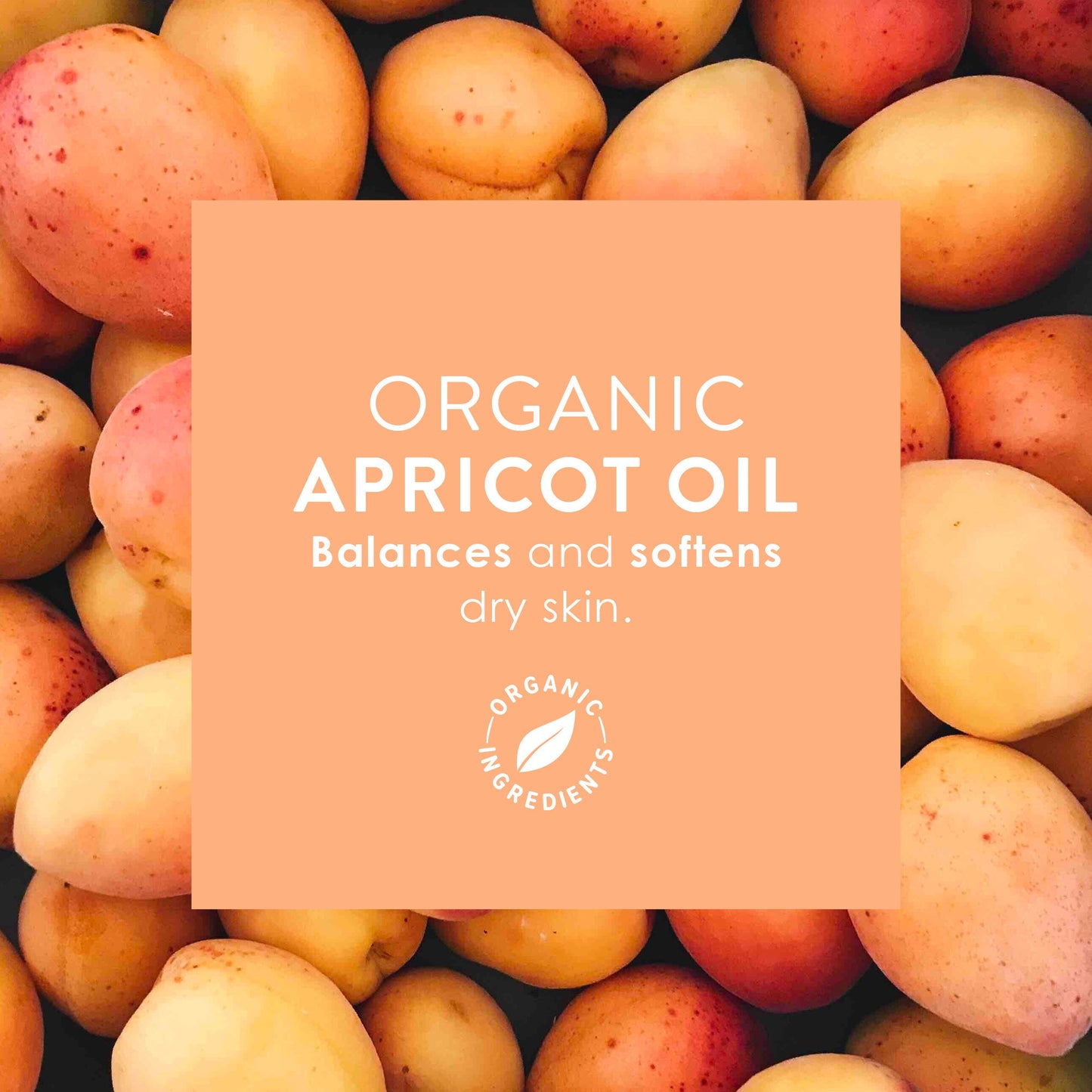 Wotnot Naturals Face Wipes 25 Pack, Ultra Hydrating