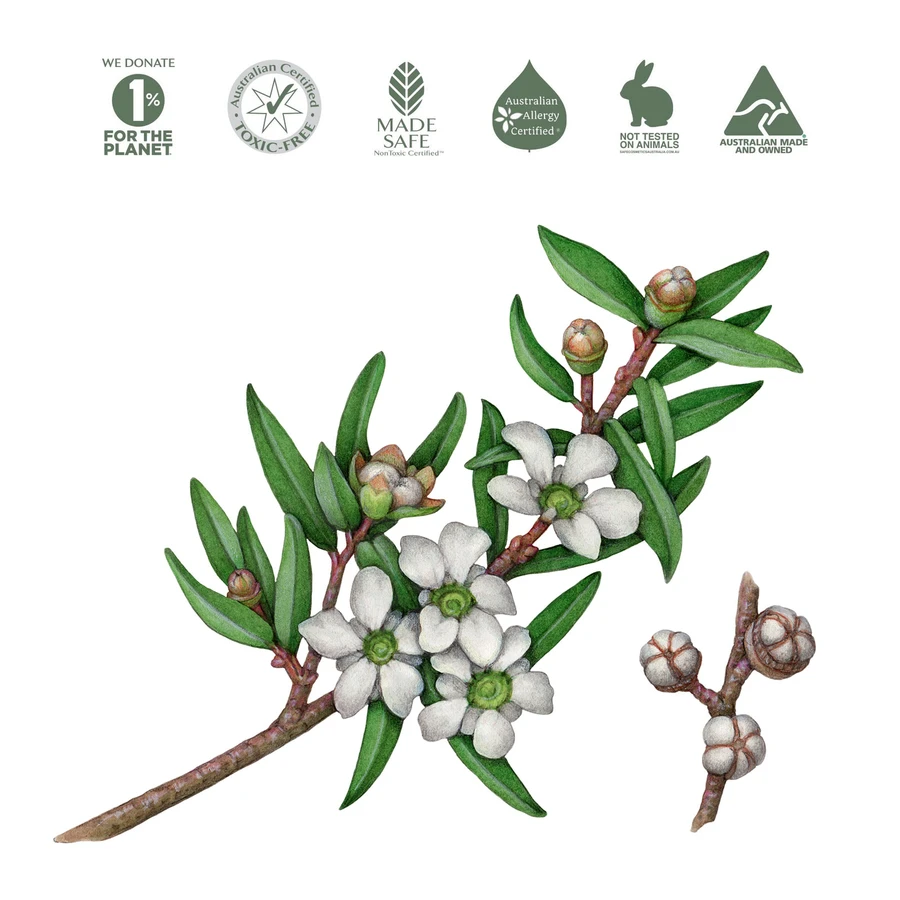 Koala Eco Natural Hand Sanitiser 500ml, Tea Tree Leaf Essential Oil
