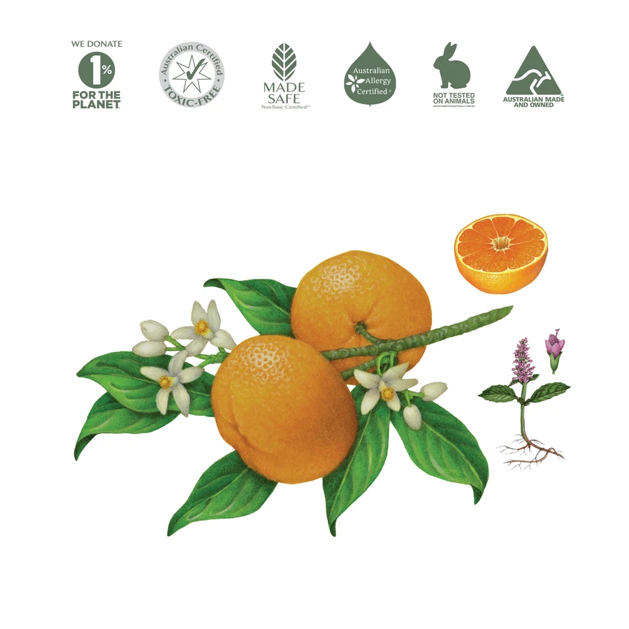 Koala Eco Natural Floor Cleaner 500ml Or 1L, Mandarin & Peppermint