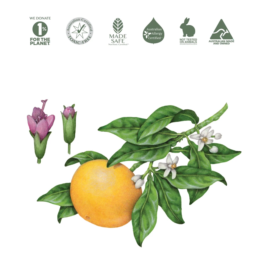 Koala Eco Natural Room Spray 250mL, Australian Pink Grapefruit & Peppermint Essential Oil