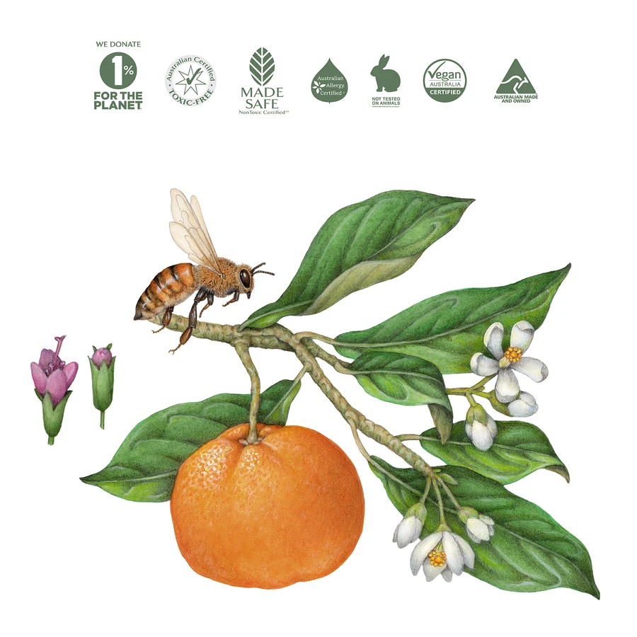 Koala Eco Natural Laundry Wash 1L, Mandarin & Peppermint Fragrance