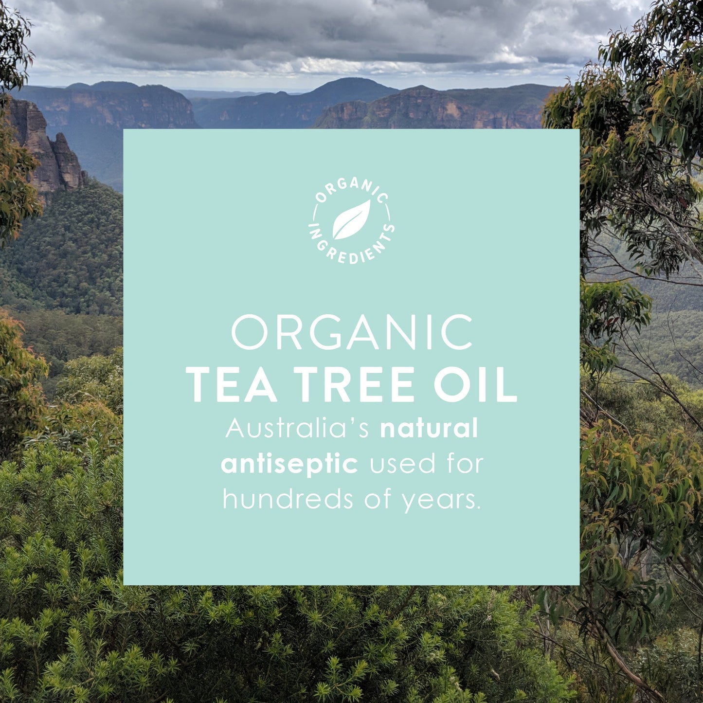 Wotnot Naturals 100% Natural Nappy Rash Cream & Baby Balm 90ml, 3 In 1; Soothe Nappy Rash, Bug Bites & Abrasions