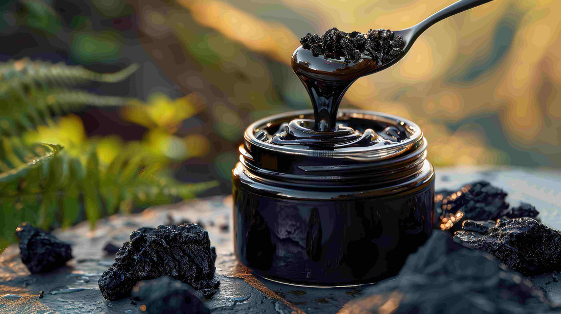 Exploring the Incredible Power of Shilajit