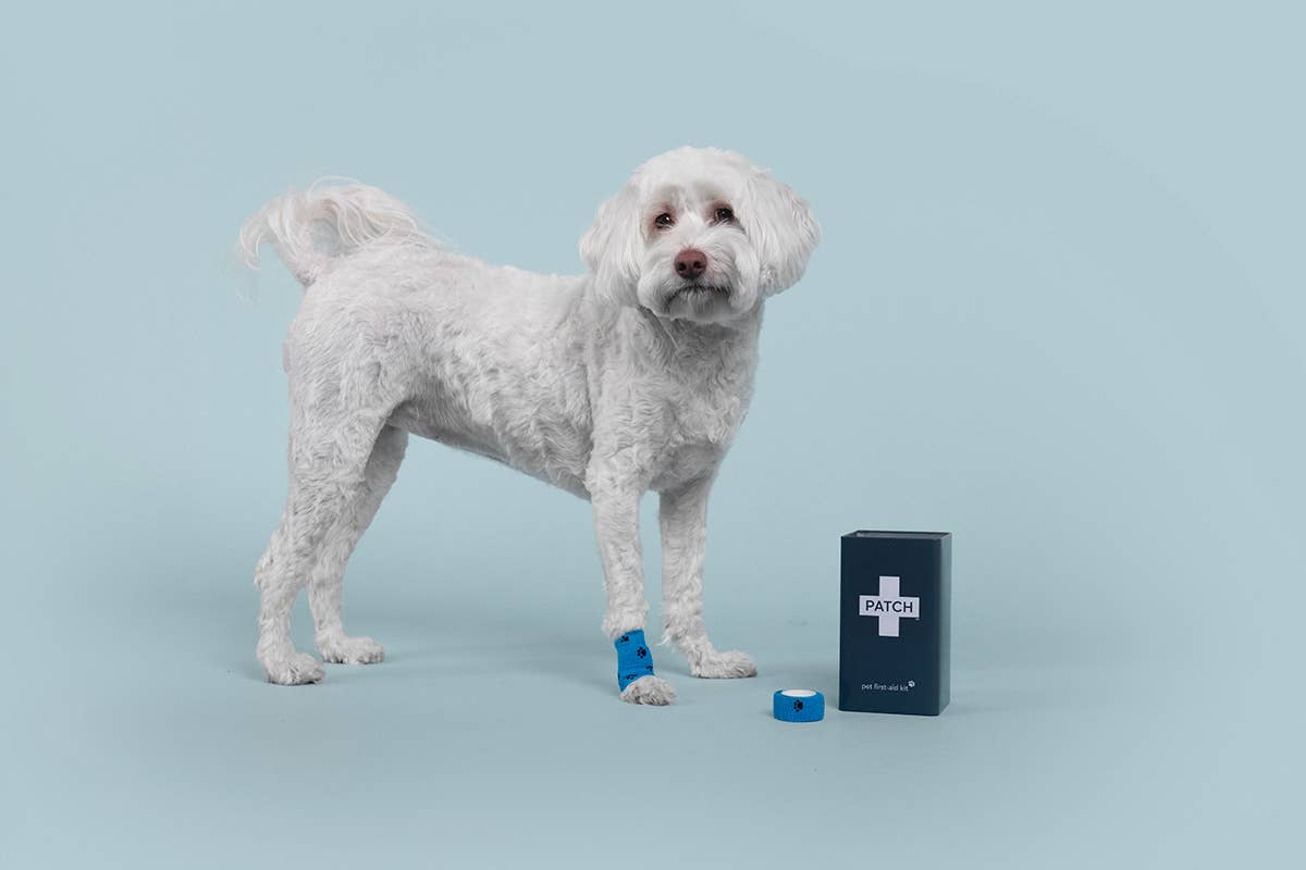 PATCH Pet Eco First-Aid Kit for Pets, For Life's Little Accidents