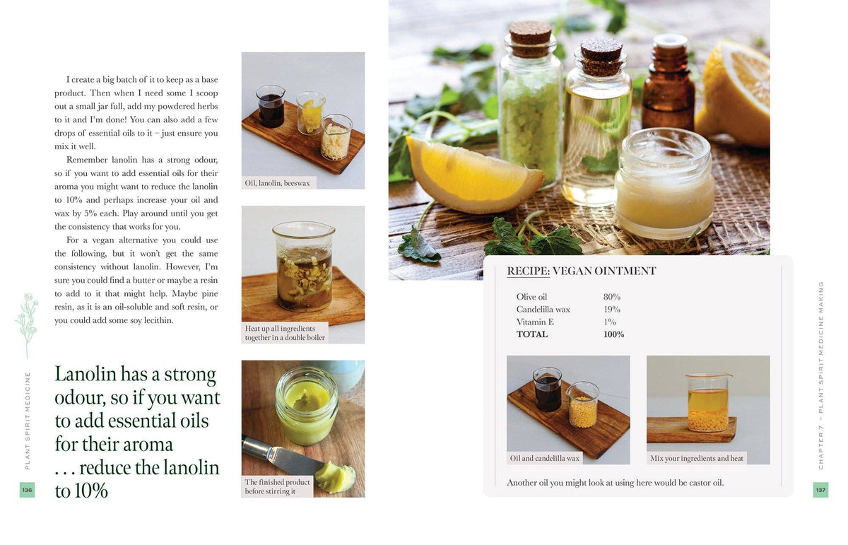 Nicola McIntosh Plant Spirit Medicine Book, A Guide To Healing From Nature