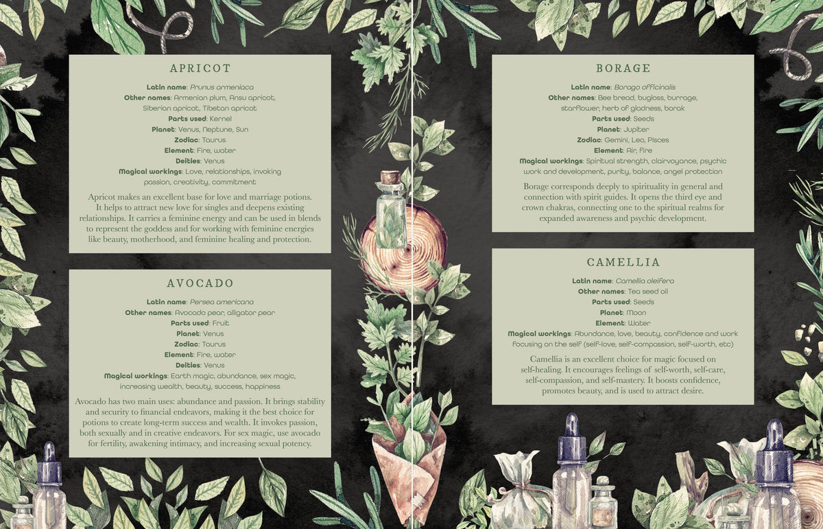 Lorraine Anderson The Witch's Apothecary Book, How To Make Magical Potions For The Wheel Of The Year