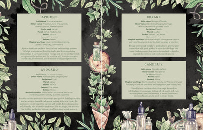 Lorraine Anderson The Witch's Apothecary Book, How To Make Magical Potions For The Wheel Of The Year