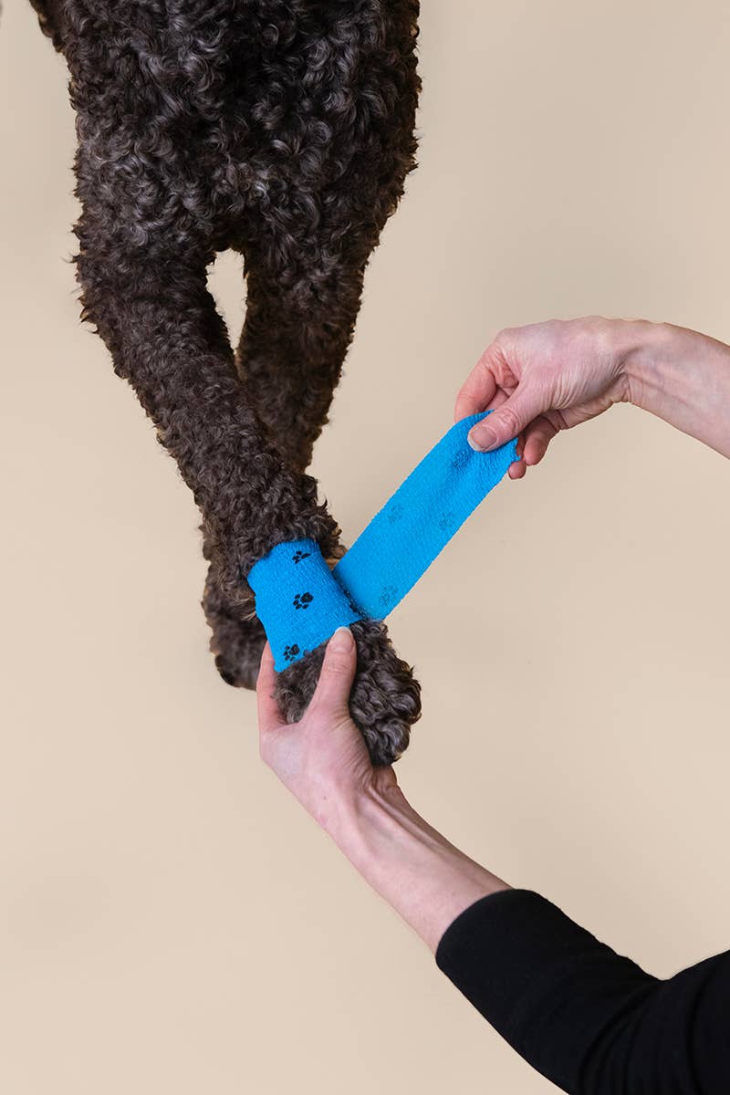 PATCH Pet Eco First-Aid Kit for Pets, For Life's Little Accidents