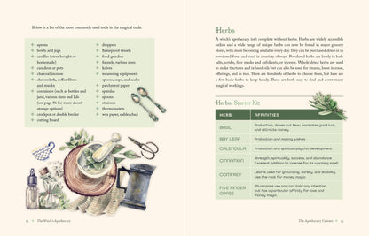 Lorraine Anderson The Witch's Apothecary Book, How To Make Magical Potions For The Wheel Of The Year