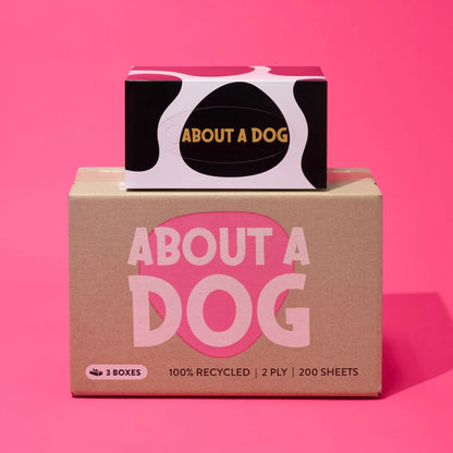 About A Dog 100% Recycled Tissue Paper 2 Ply, 200 Sheet Box