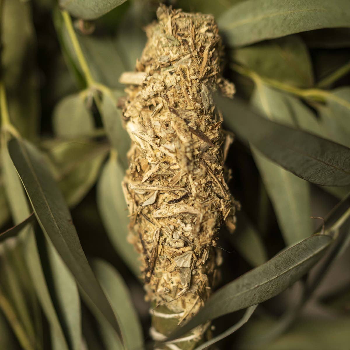 Sagrada Madre Smudge Stick - Clean Energy, Elevate Your Space