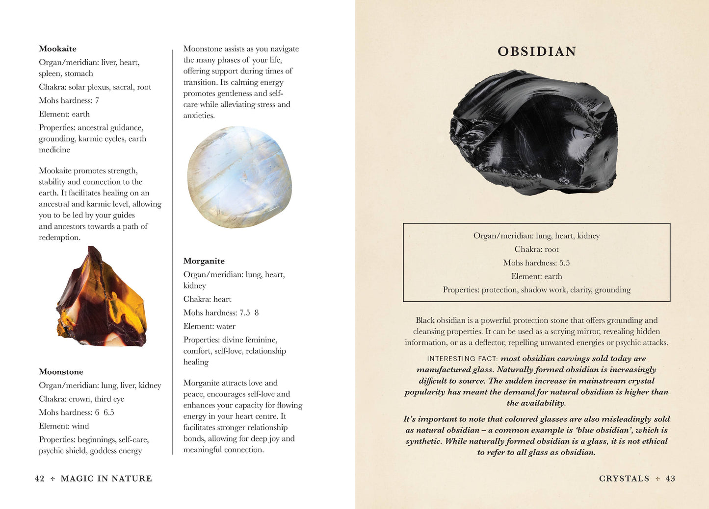 A Practical Guide to Magic in Nature, By Jessica Lahoud
