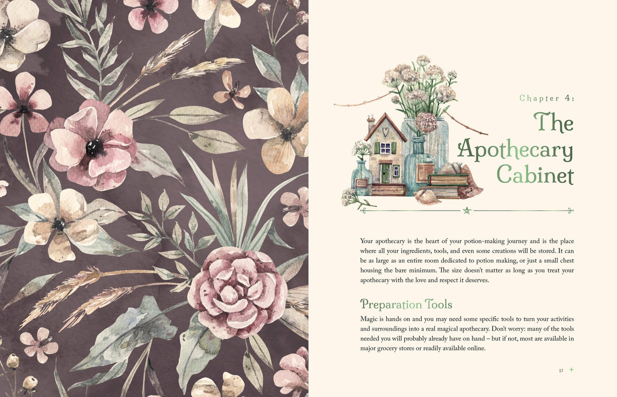 Lorraine Anderson The Witch's Apothecary Book, How To Make Magical Potions For The Wheel Of The Year