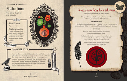 Priestess Moon Witch's Magickal Spellbook, An Interactive Grimoire With Stickers & Secret Pockets